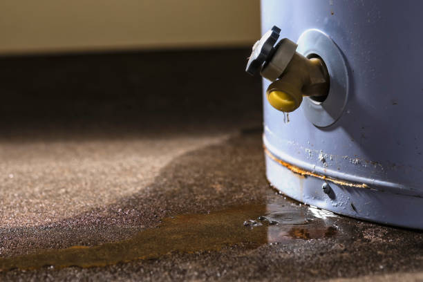 Professional Water damage restoration in Grafton, WV