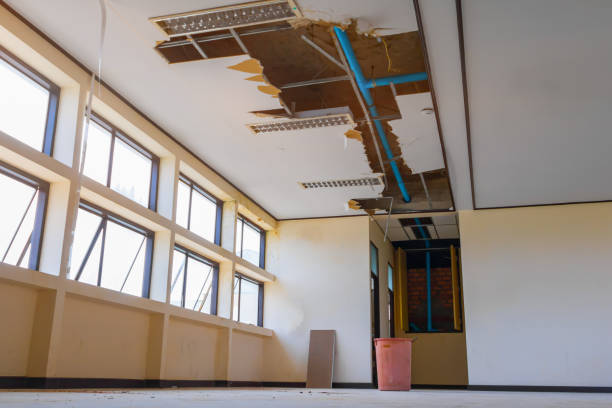 Best Flood restoration services  in Grafton, WV