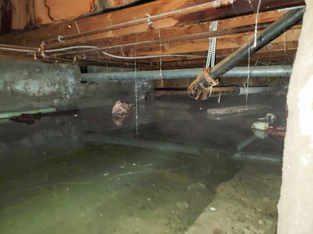 Best Residential water damage restoration  in Grafton, WV