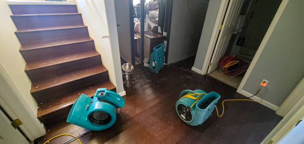 Best Water damage restoration near me  in Grafton, WV