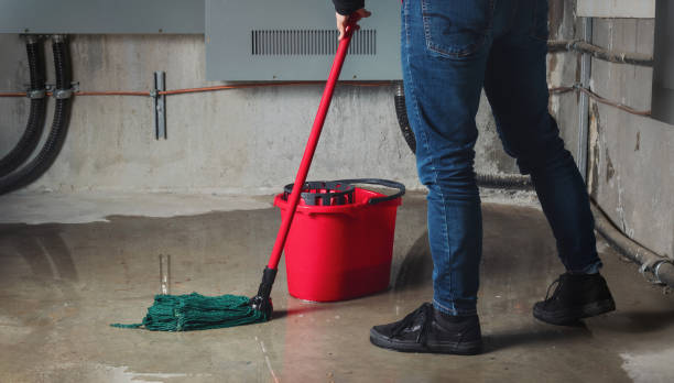 Best Sewage cleanup and water damage restoration  in Grafton, WV