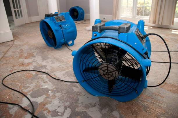 Best Flood damage cleanup  in Grafton, WV