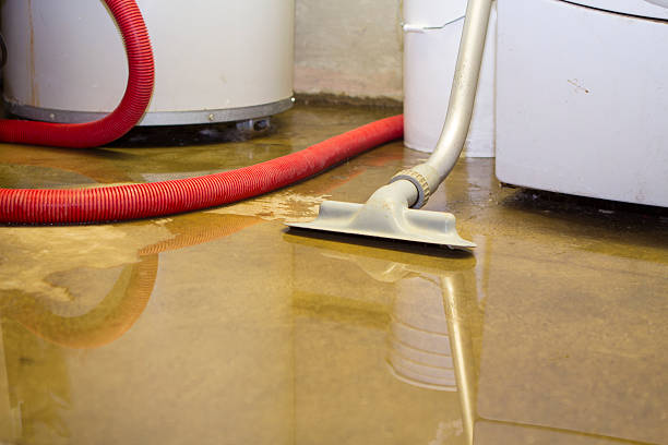 Trusted Grafton, WV Water damage restoration Experts