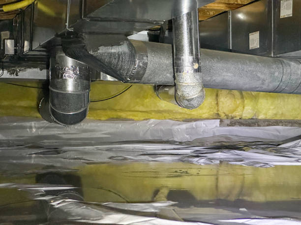 Best Professional water damage repair  in Grafton, WV